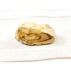 Picture Jasper Manti Lasal Rough Rock 4.6 oz Piece Original